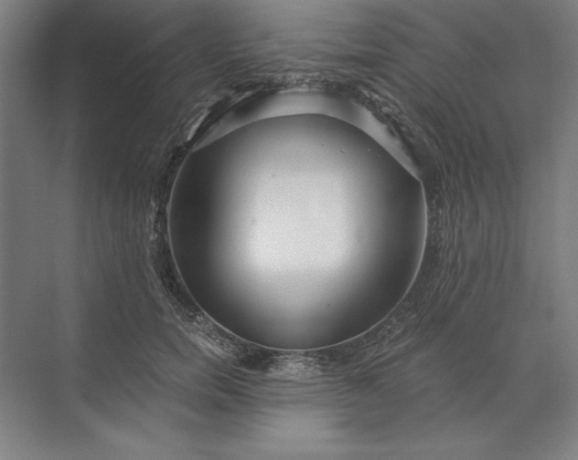 X0000071330750200607071632