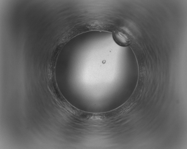 X0000071330751200607071632