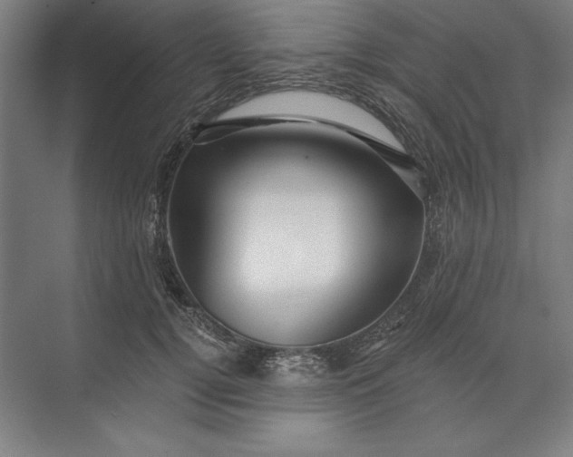 X0000071330752200607071632