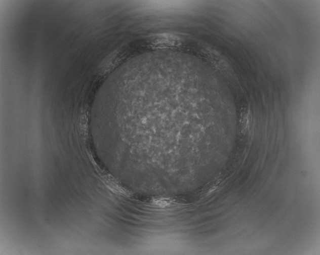 X0000071330753200607071632