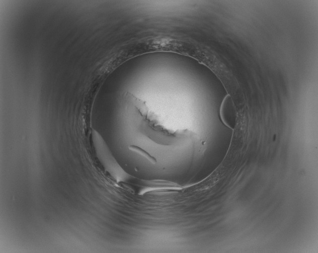 X0000071330754200607071632