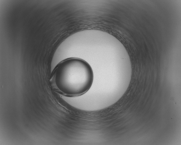 X0000071330756200607071632