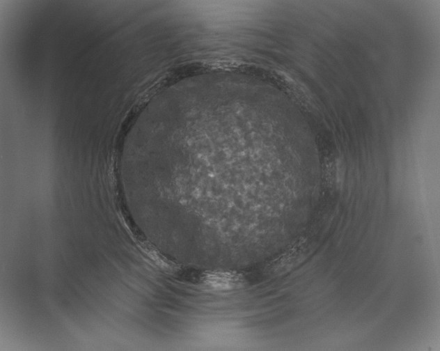 X0000071330757200607071632