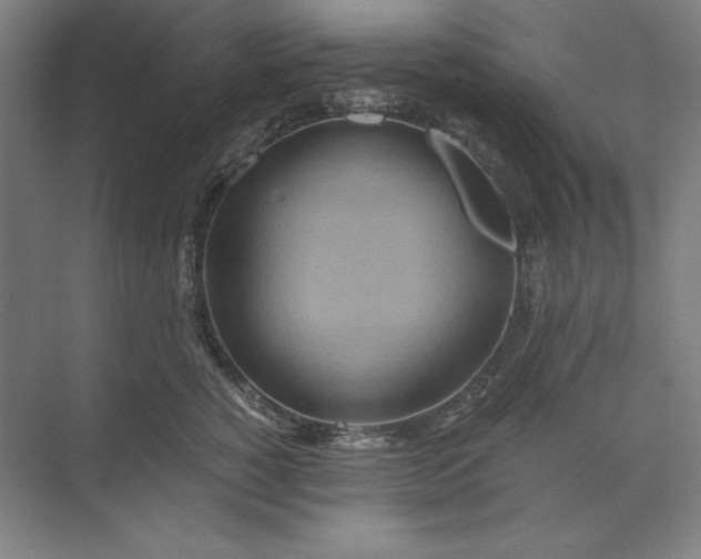 X0000071330760200607071632