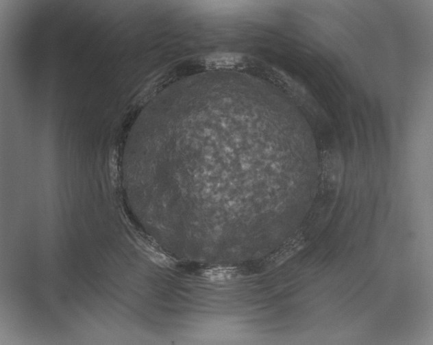 X0000071330761200607071632