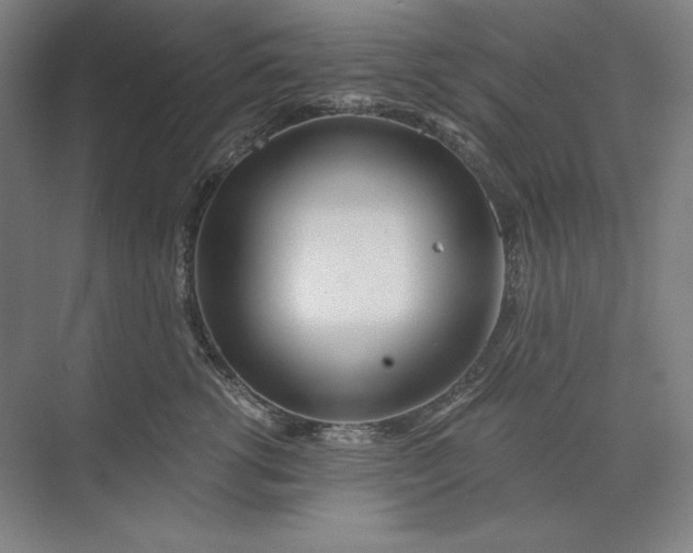 X0000071330762200607071632