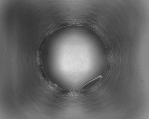 X0000071330764200607071632