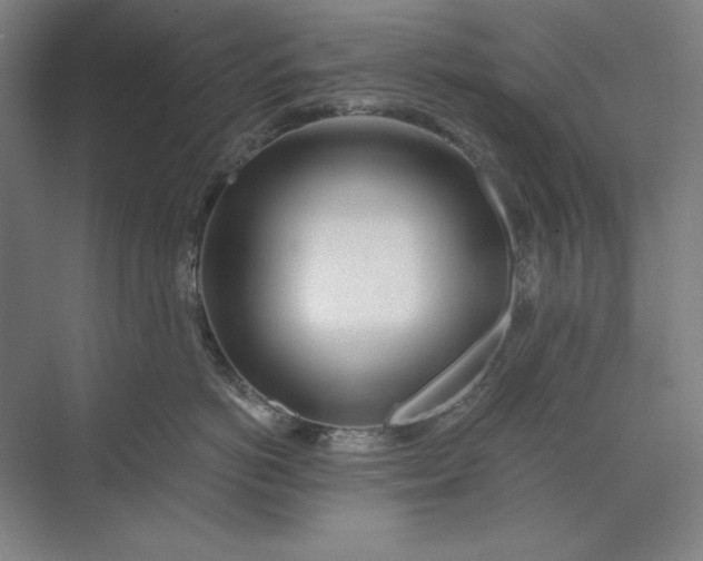 X0000071330766200607071632