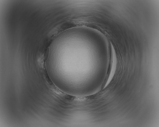 X0000071330767200607071632