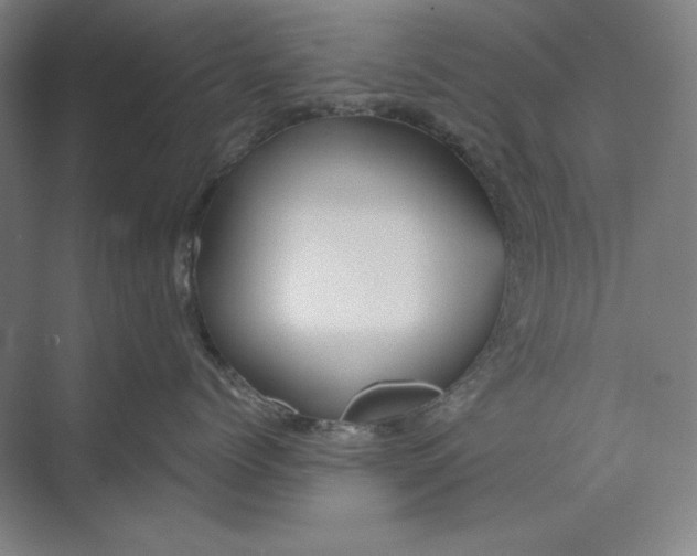 X0000071330768200607071632