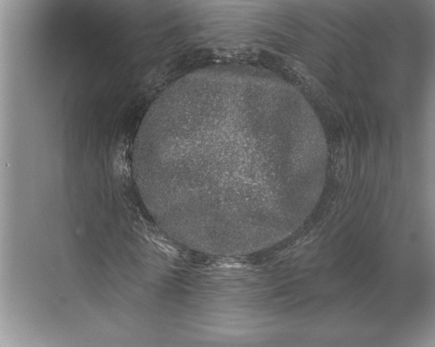 X0000071330770200607071631