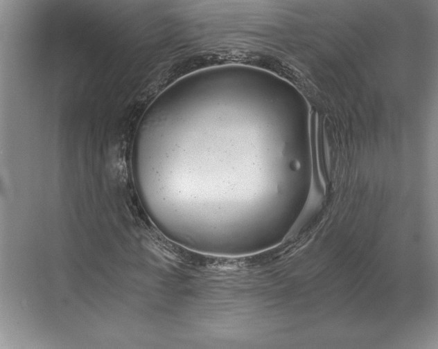 X0000071330771200607071631