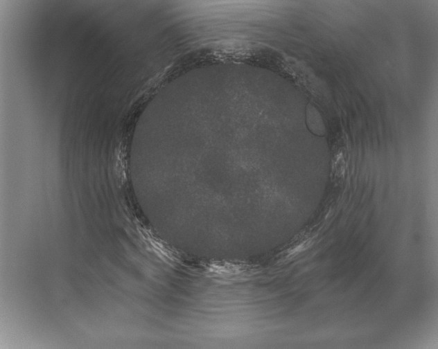 X0000071330772200607071631