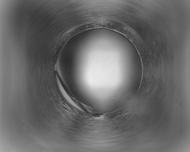 X0000071330773200607071631