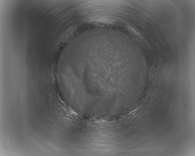 X0000071330774200607071631