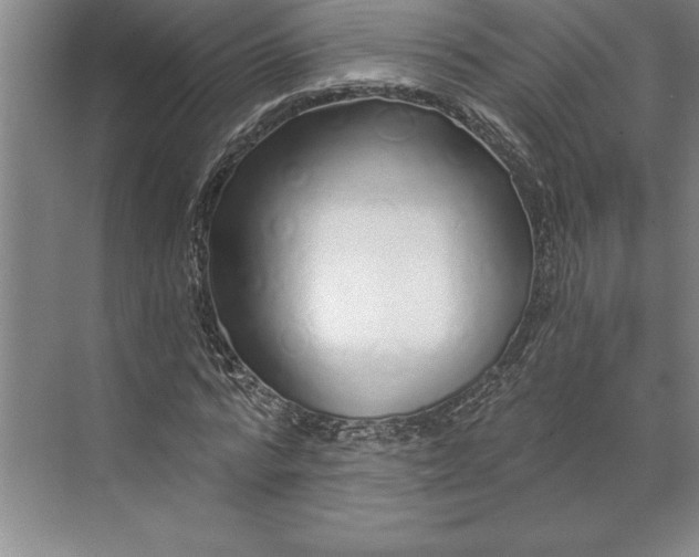 X0000071330776200607071631