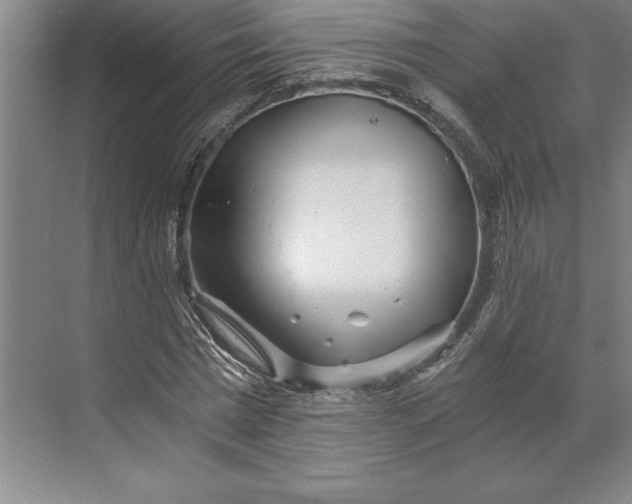 X0000071330777200607071631