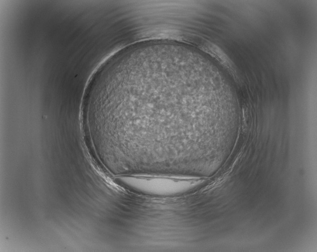 X0000071330780200607071631