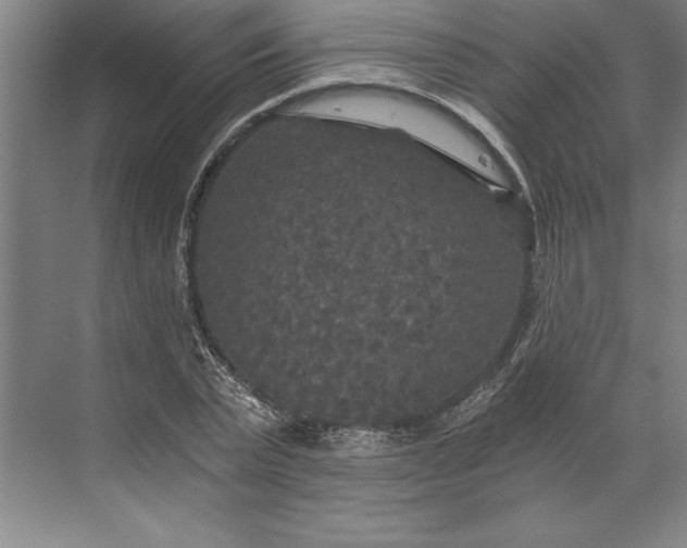 X0000071330783200607071631