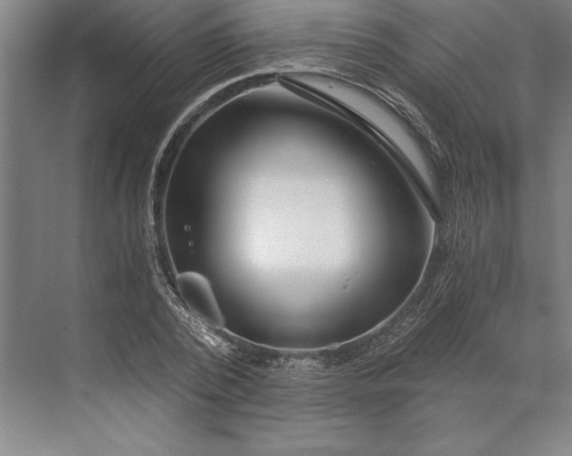 X0000071330784200607071631