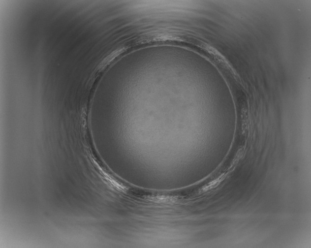 X0000071330785200607071631