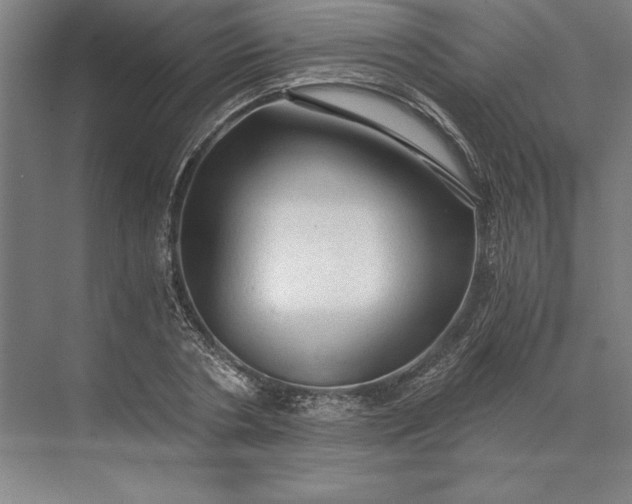 X0000071330786200607071631