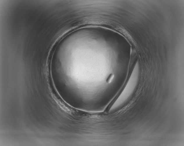 X0000071330787200607071631