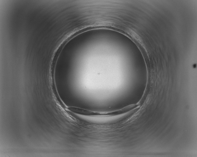 X0000071330789200607071631