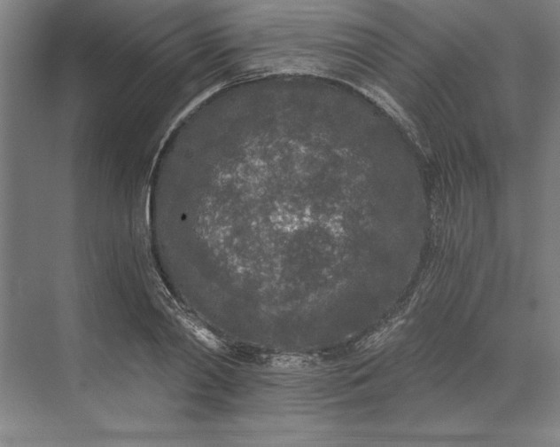 X0000071330790200607071631