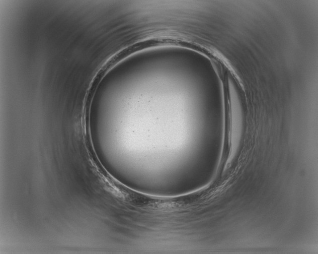 X0000071330791200607071631