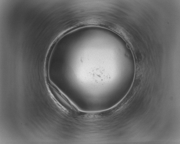 X0000071330795200607071631