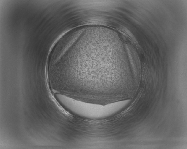 X0000071330796200607071631