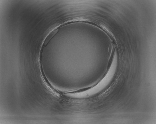 X0000071330797200607071631