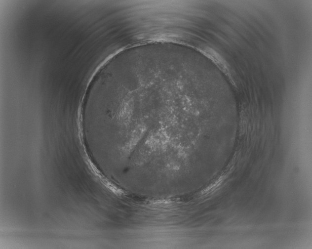 X0000071330798200607071631