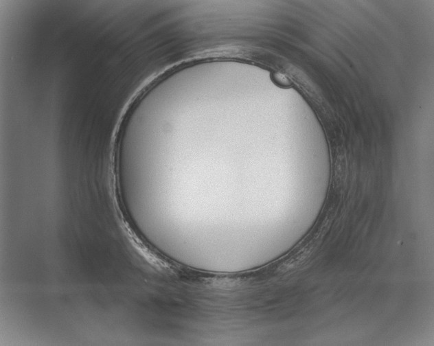 X0000071330800200607071631