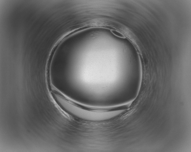 X0000071330803200607071631