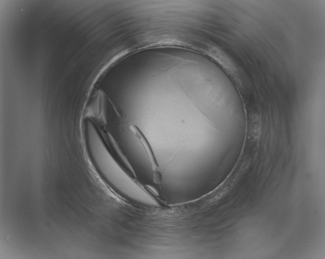 X0000071330806200607071631