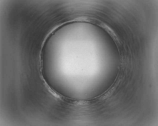 X0000071330808200607071631