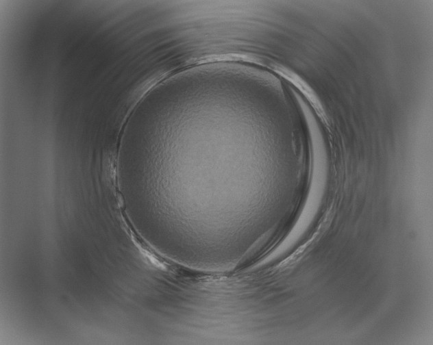 X0000071330809200607071631