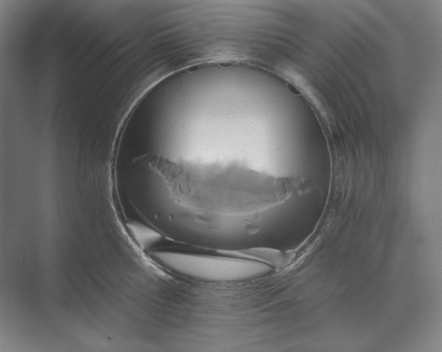 X0000071330810200607071631