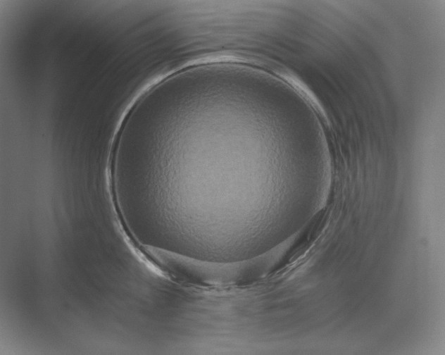 X0000071330813200607071630