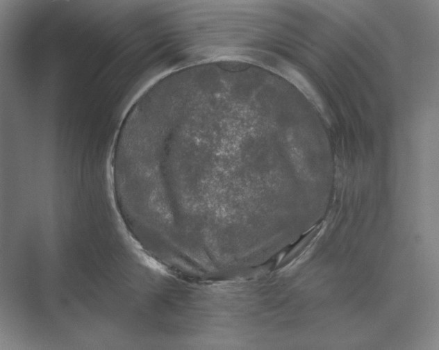 X0000071330814200607071630