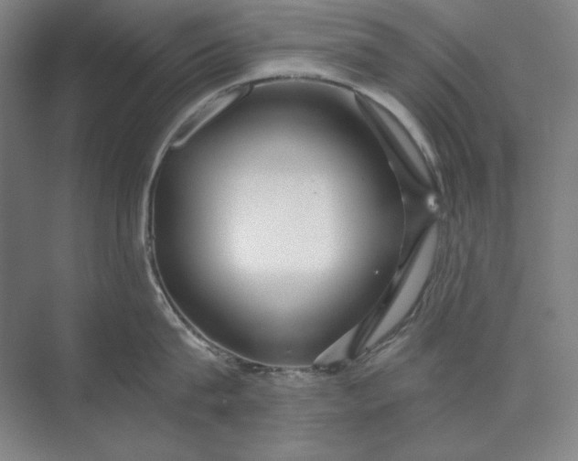 X0000071330815200607071630