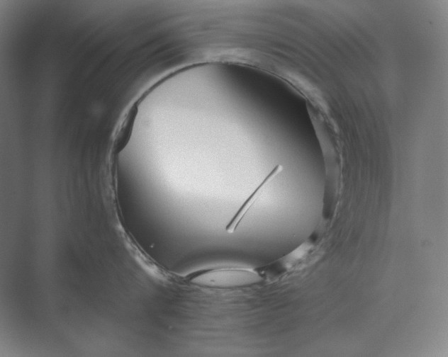 X0000071330816200607071630