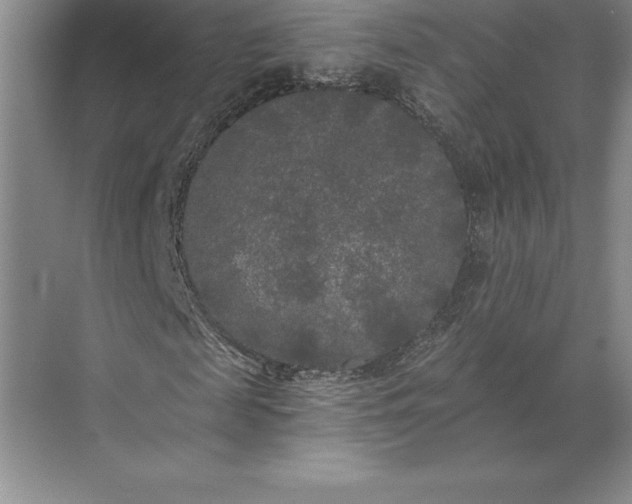 X0000071330817200607071630