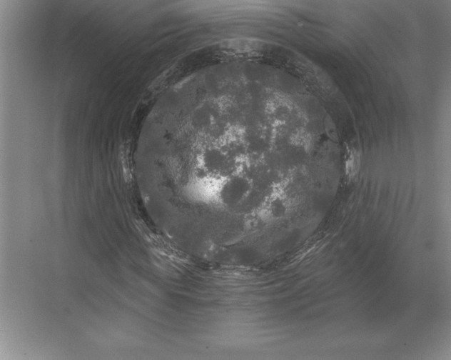 X0000071330819200607071630