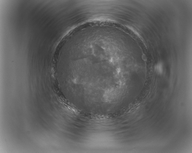 X0000071330823200607071630