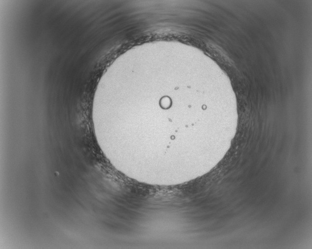 X0000071330824200607071630