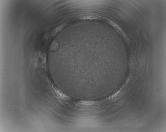 X0000071330825200607071630