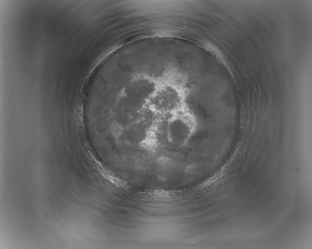 X0000071330827200607071630